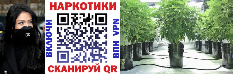 Наркотические вещества Лыткарино Марихуана  Галлюциногенные грибы  ГАШИШ  Кокаин  Alpha PVP 