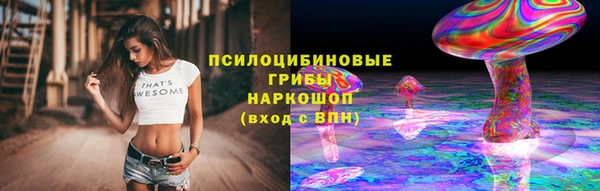 меф Нефтегорск