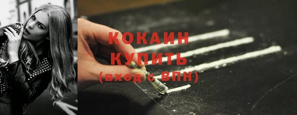 МДПВ Нея