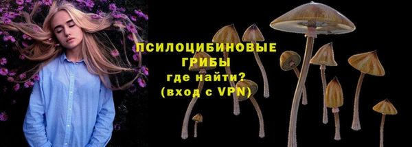 меф Нефтегорск