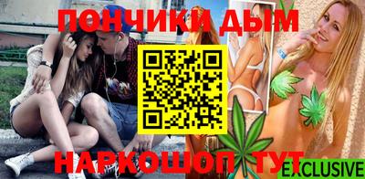 гашик Гатчина