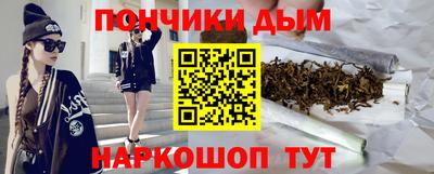 гашик Гатчина