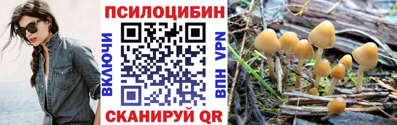Галлюциногенные грибы MAGIC MUSHROOMS  где купить наркоту  mega ссылка  Лыткарино 