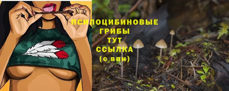 наркошоп  Лыткарино  Галлюциногенные грибы Cubensis 