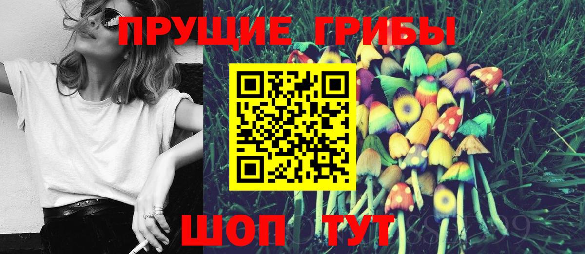Лыткарино  Псилоцибиновые грибы мицелий  Вход с VPN 