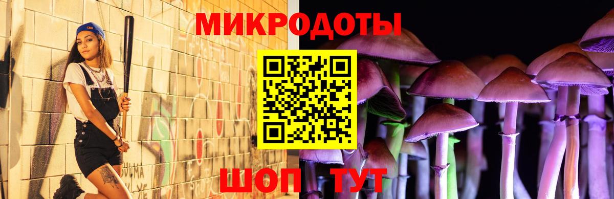 Псилоцибиновые грибы GOLDEN TEACHER  Лыткарино 