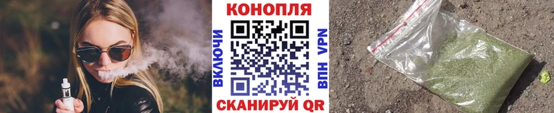 Канабис план  цена   Лыткарино 